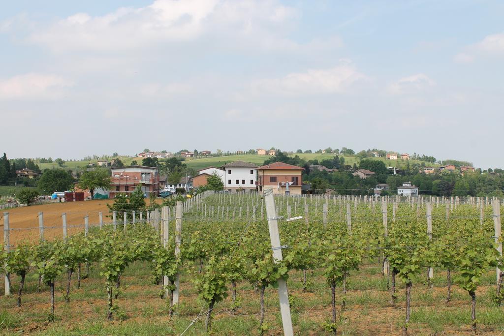 Agriturismo Le Casette Castelvetro di Modena Zewnętrze zdjęcie