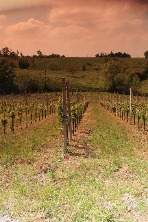 Agriturismo Le Casette Castelvetro di Modena Zewnętrze zdjęcie