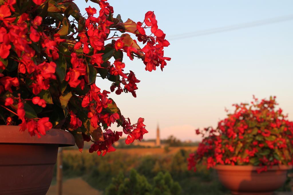 Agriturismo Le Casette Castelvetro di Modena Zewnętrze zdjęcie