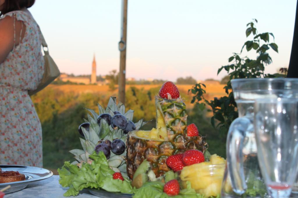 Agriturismo Le Casette Castelvetro di Modena Zewnętrze zdjęcie